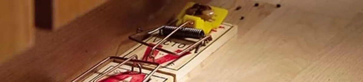 Rodent trap set indoors for rodent control and prevention in Fargo, ND